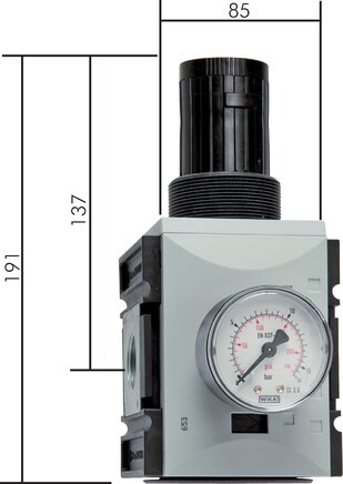1" Pressure Regulator with Gauge