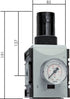 1" Pressure Regulator with Gauge