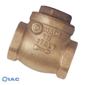 Brass Swing Check Valve with Rubber Seat / F. BSPP G4"